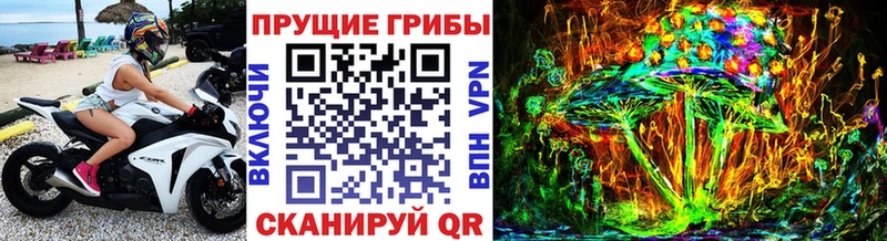 Галлюциногенные грибы Cubensis  Калтан 